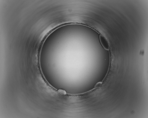 X0000112980944200909031106