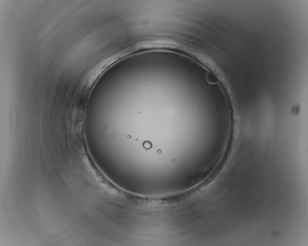 X0000112980945200909031106