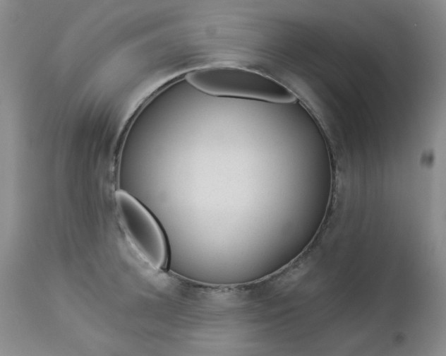 X0000112980948200909031106