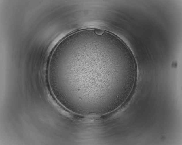 X0000112980949200909031106