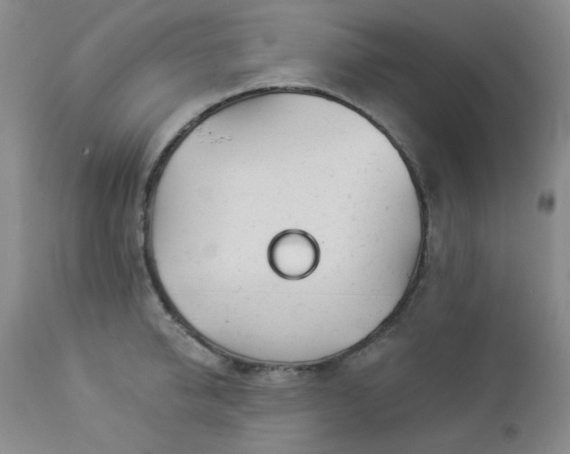 X0000112980950200909031106