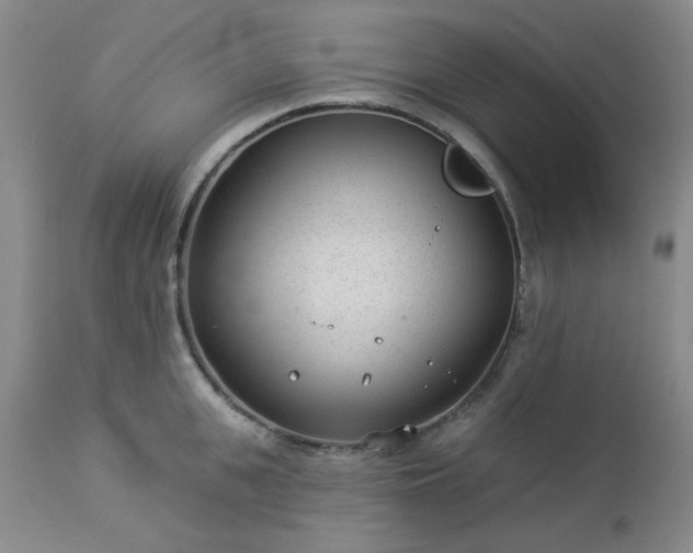 X0000112980951200909031106