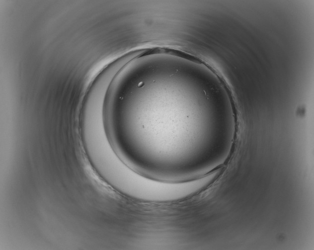 X0000112980952200909031106