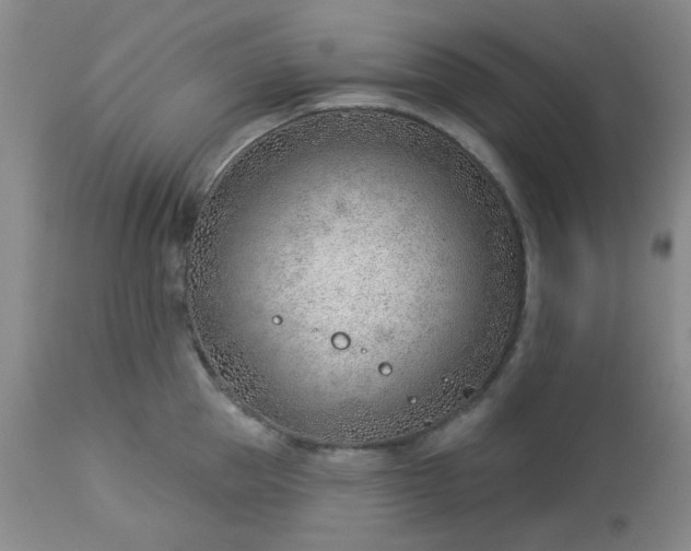 X0000112980953200909031106