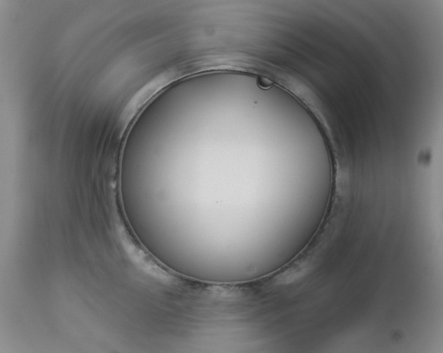 X0000112980954200909031106