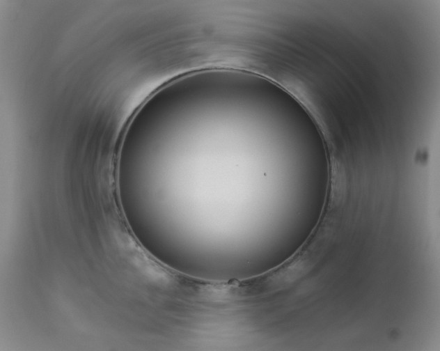 X0000112980956200909031106