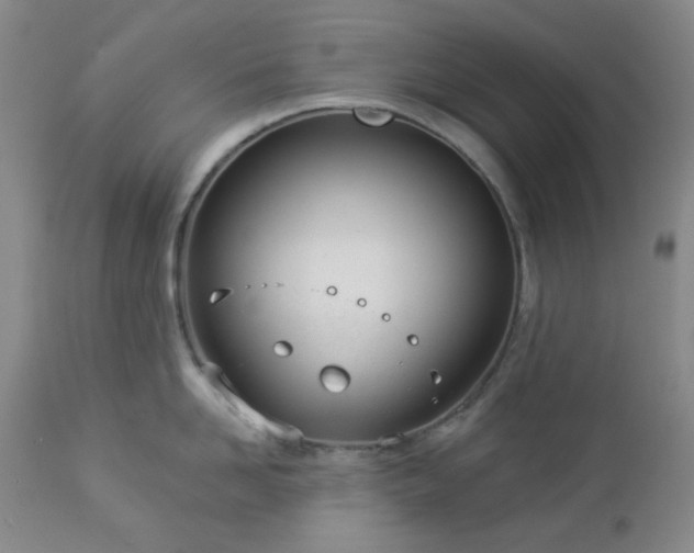 X0000112980958200909031106