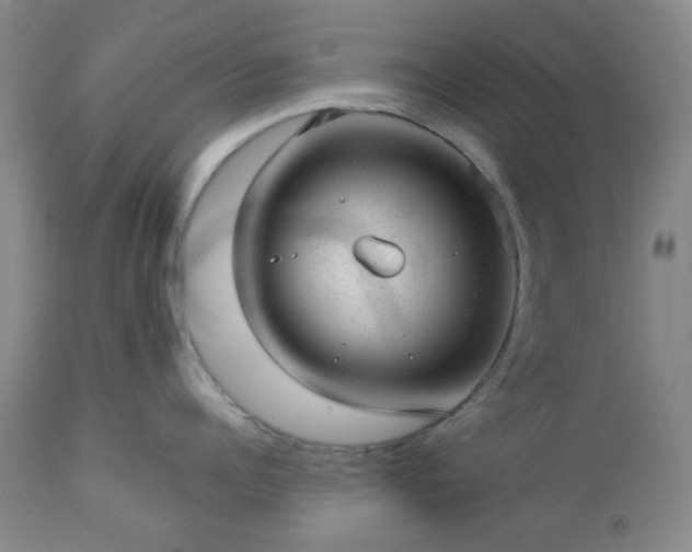 X0000112980960200909031106