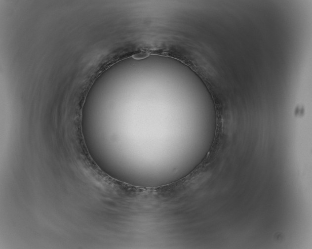 X0000112980961200909031105