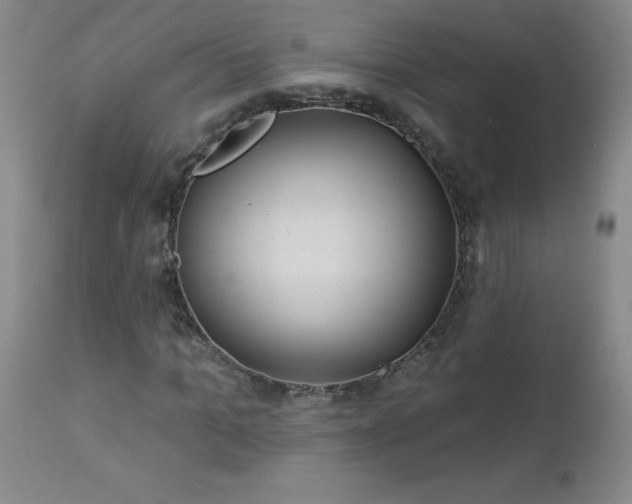 X0000112980965200909031105