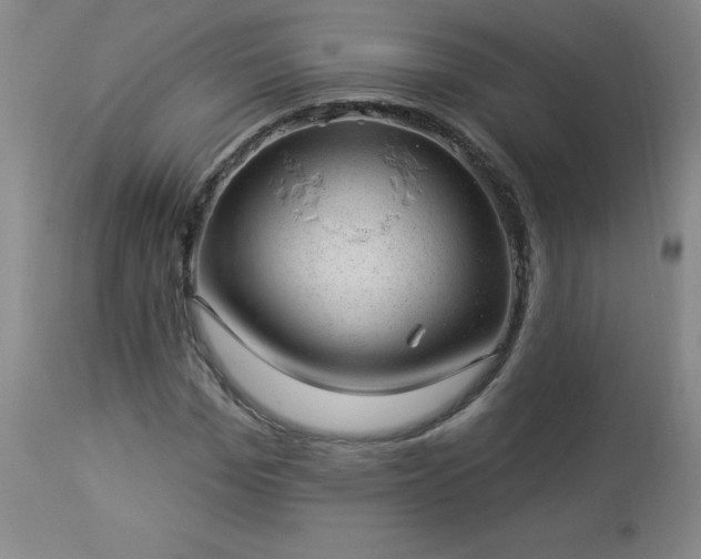 X0000112980969200909031105