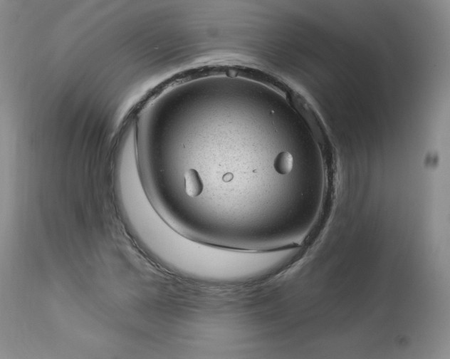 X0000112980973200909031105