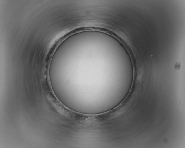 X0000112980974200909031105