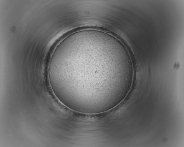 X0000112980975200909031105