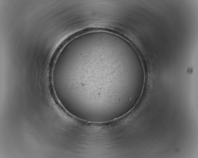 X0000112980976200909031105