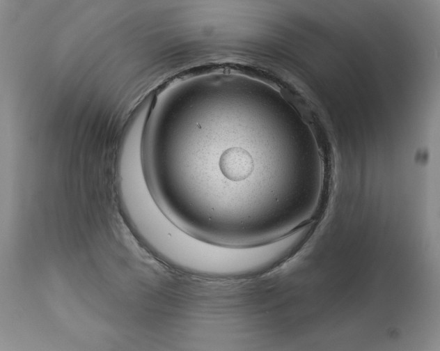 X0000112980977200909031105