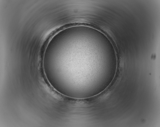 X0000112980979200909031105