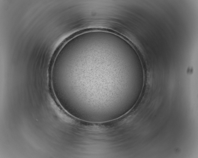 X0000112980980200909031105