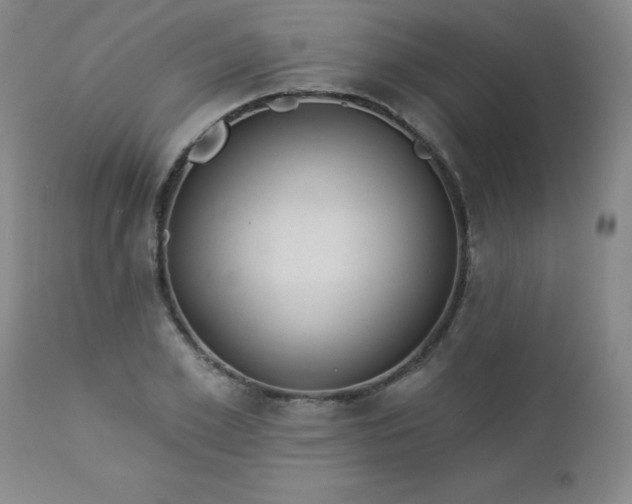 X0000112980981200909031105