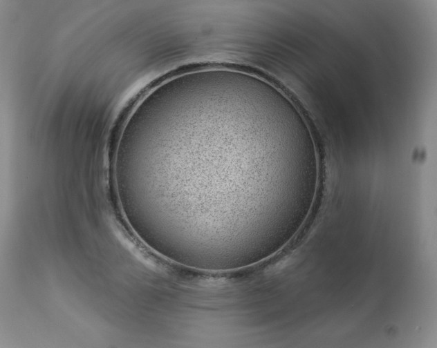 X0000112980982200909031105