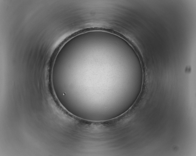 X0000112980983200909031105