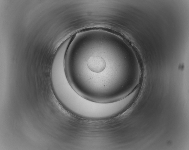 X0000112980985200909031105