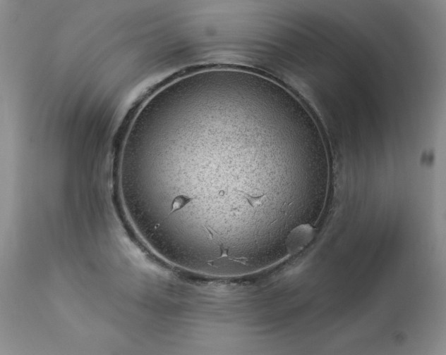 X0000112980987200909031105