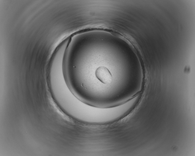 X0000112980989200909031105