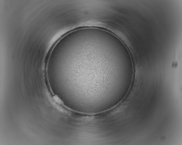 X0000112980990200909031105