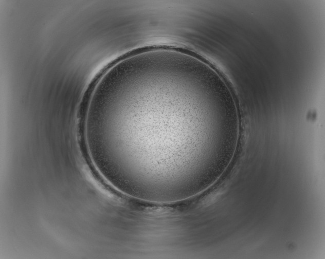 X0000112980991200909031105