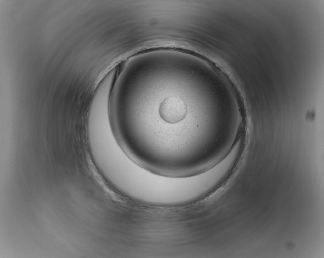 X0000112980993200909031105