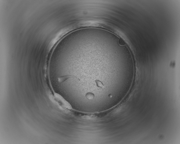 X0000112980994200909031105