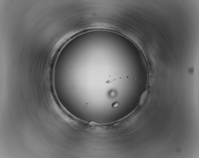 X0000112980995200909031105