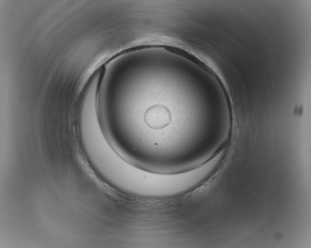 X0000112980997200909031105