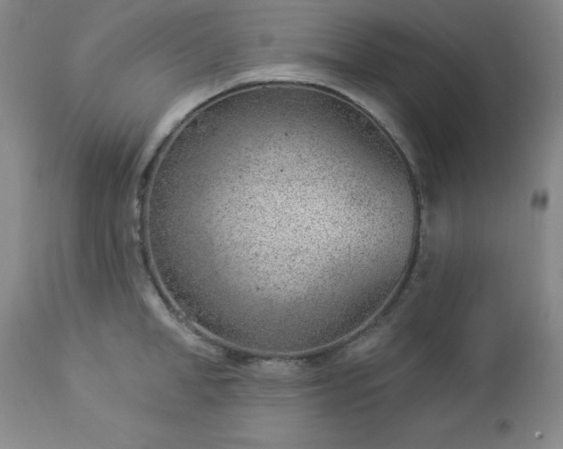 X0000112980998200909031105