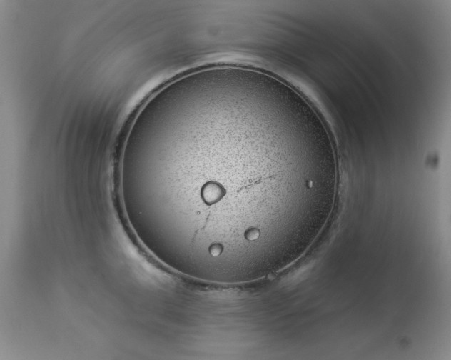 X0000112980999200909031105