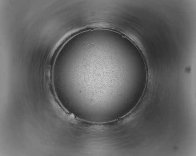 X0000112981000200909031105