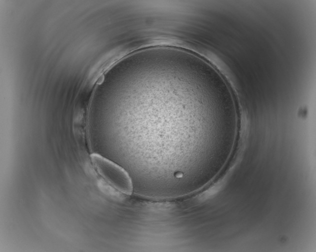 X0000112981001200909031105