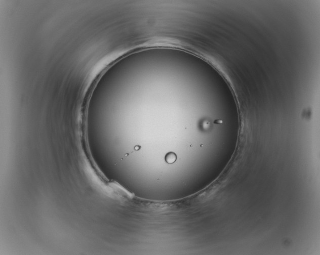 X0000112981003200909031104