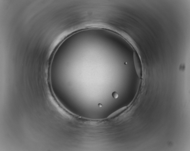 X0000112981005200909031104