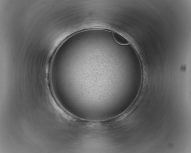 X0000112981006200909031104