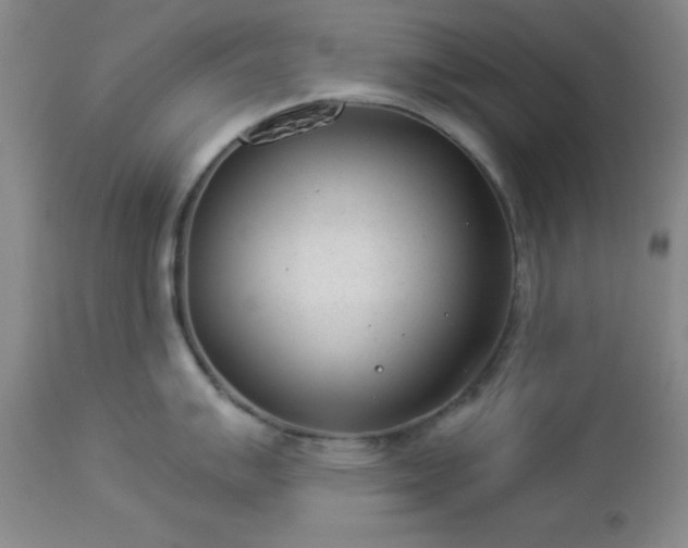 X0000112981007200909031104