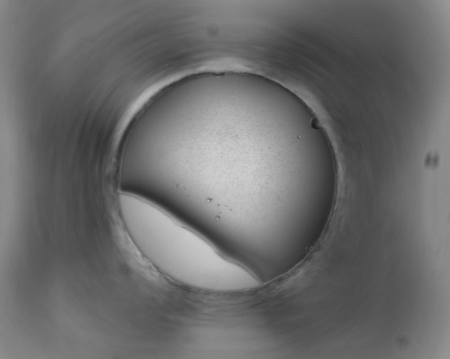 X0000112981008200909031104