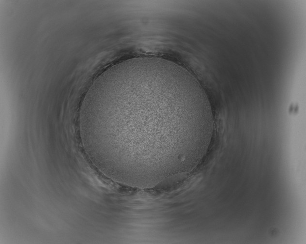 X0000112981009200909031104