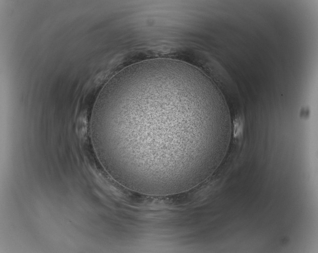 X0000112981011200909031104