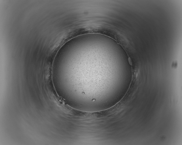 X0000112981012200909031104