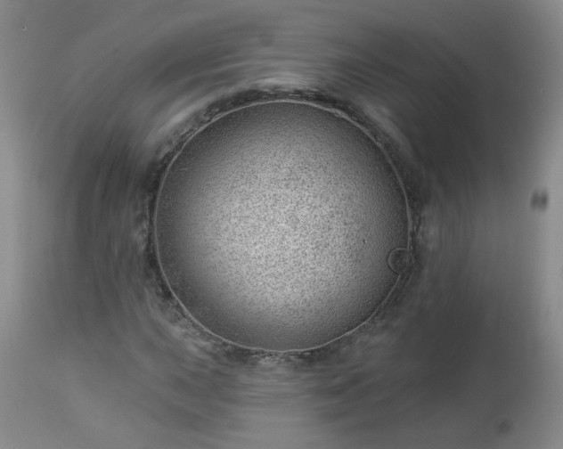 X0000112981015200909031104