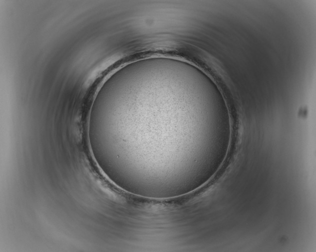 X0000112981018200909031104