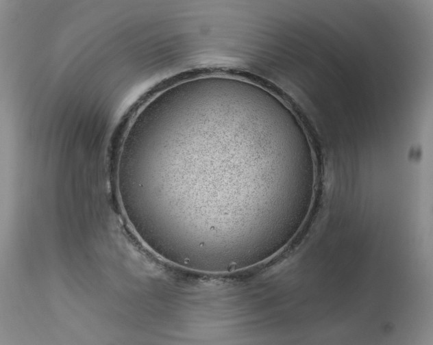 X0000112981022200909031104