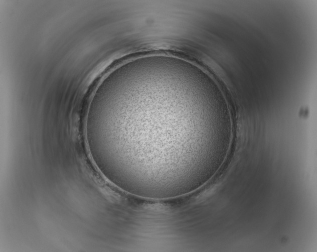 X0000112981023200909031104